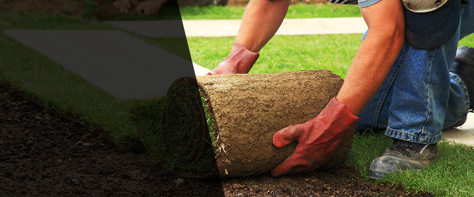 Streator Landscapers